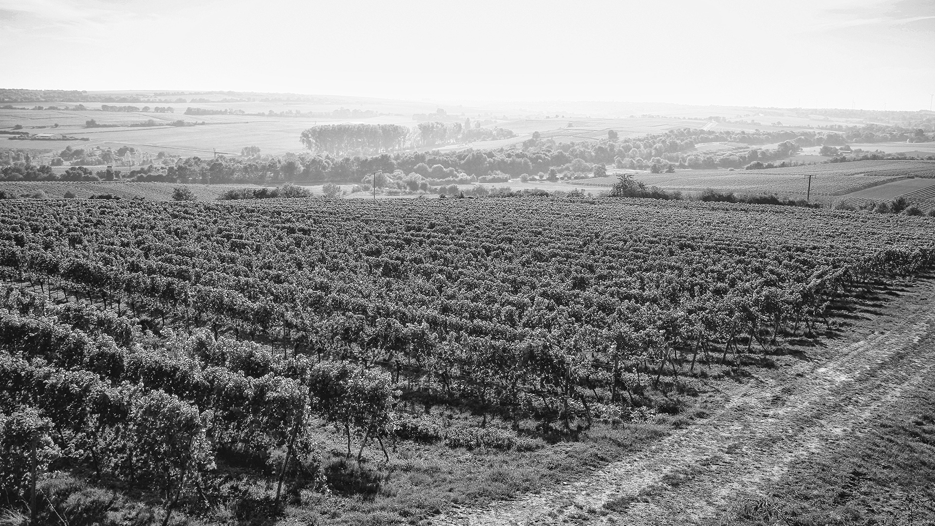 Hangen-Weisheim Sommerwende Lage